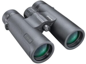 Bushnell Engage X 10x42