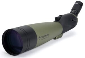 Celestron Ultima 100