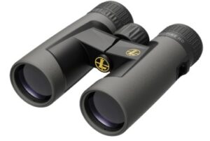 Leupold BX-2 Alpine HD 10x42