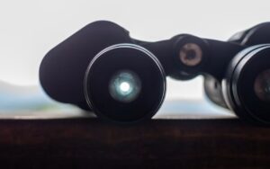 Binocular Magnification Explained