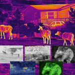 night vision