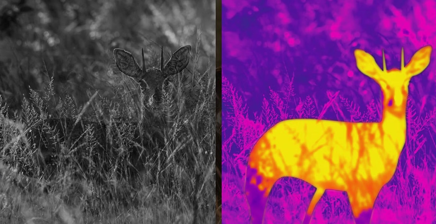 thermal-imaging-color-palattes